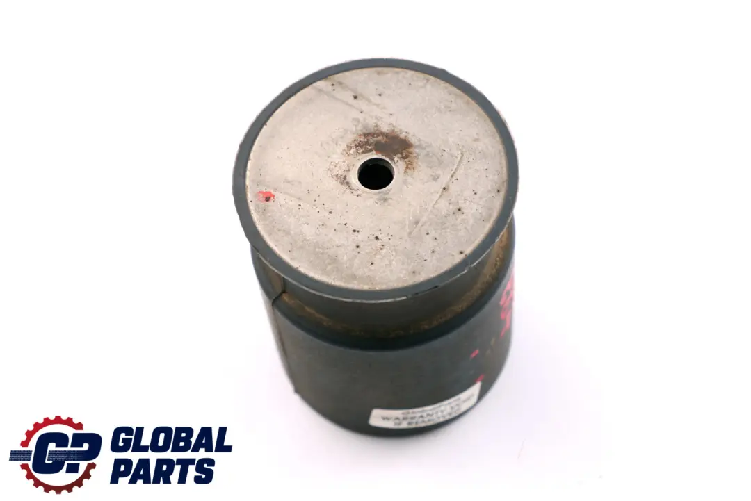 Vibration Absorber 30 HZ to BMW 1 3 SERIES E87 E90 E91 E92 E93 F34 with Part number 7537340 BMW 1 3 SERIES E87 E90 E91 E92 E93 F34 Vibration Absorber 30 HZ - SKU 7537340 - Part number 7537340
