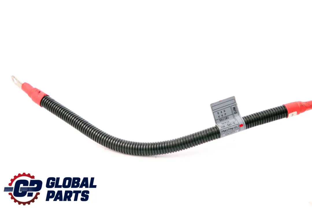 BMW Serie Z4 E85 2.0i N46 Cable Alternador Arranque Base B+ - SKU 7541779 - Número de pieza 7541779