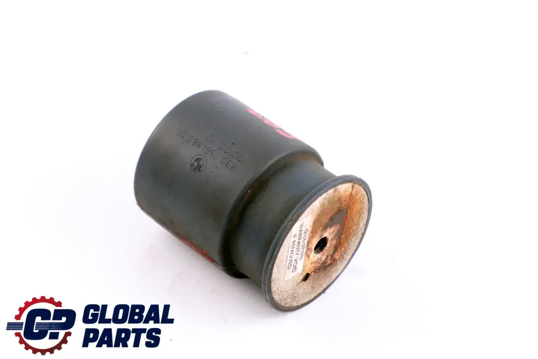 Tłumik drgań 33HZ do BMW E81 E87 E88 o numerze 7564880 BMW E81 E87 E88 Tłumik drgań 33HZ - SKU 7564880 - Numer Części 7564880