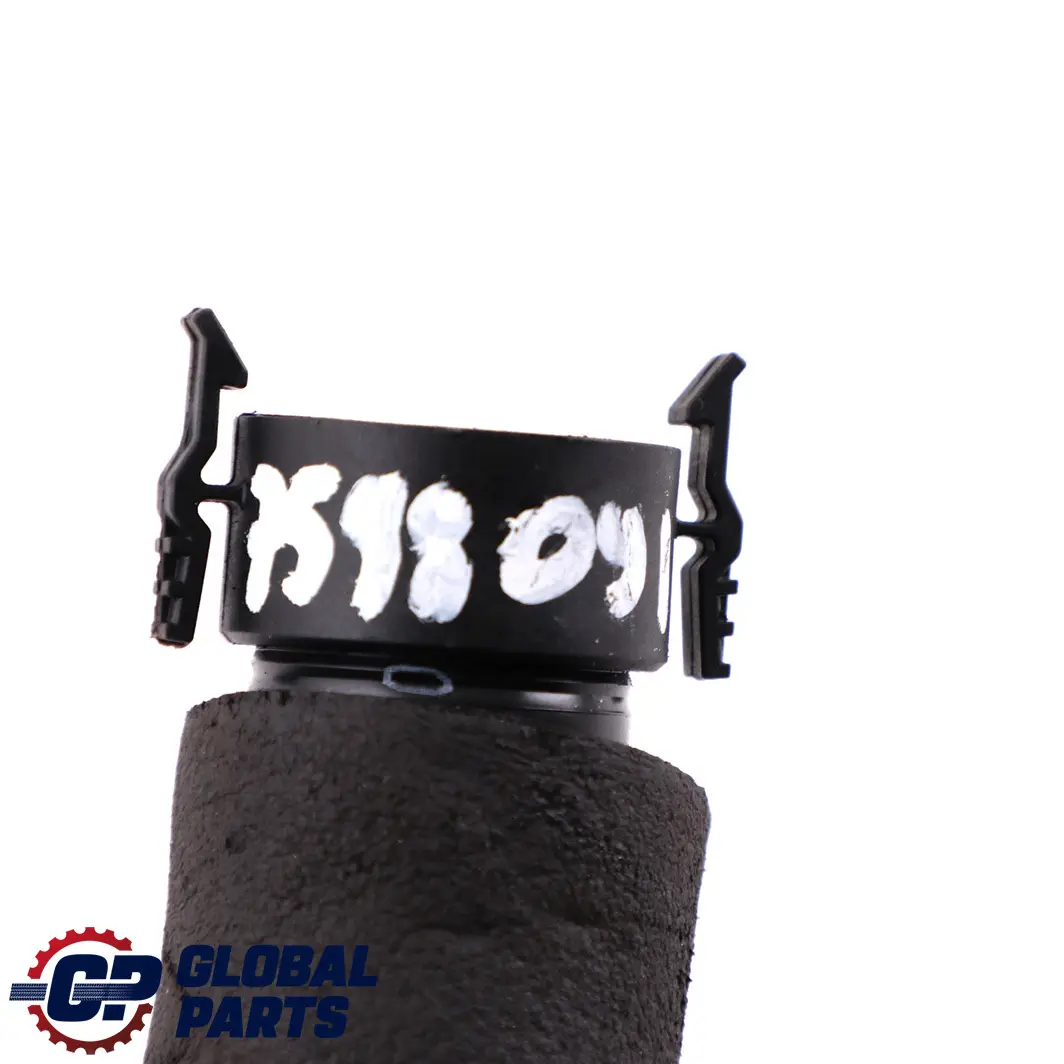 BMW F10 F11 F20 F21 F30 F31 N20 Oil Separator Crankcase Vent Valve Pipe Hose - SKU 7598091 - Part number 7598091
