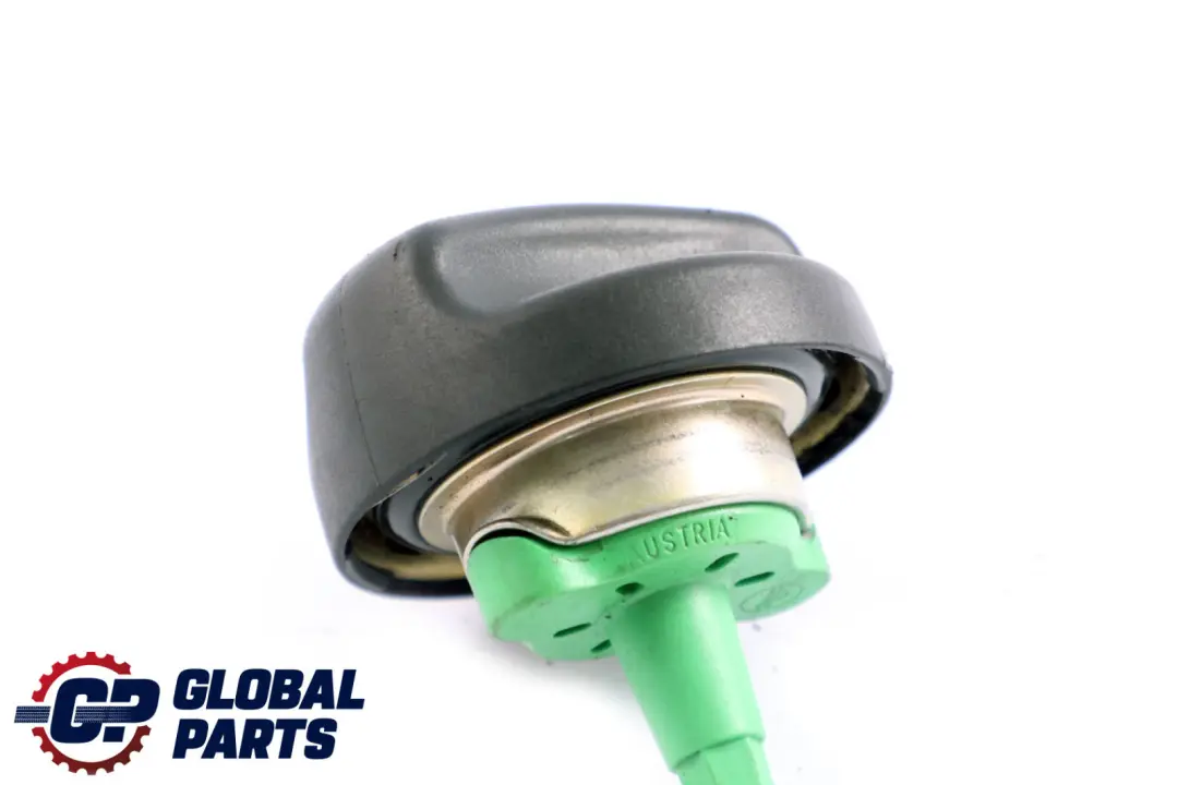 Tapa del deposito De combustible DIESEL para BMW X3 3 E60 E61 E83 E87 E90 con número de pieza 7786331 BMW X3 3 E60 E61 E83 E87 E90 Tapa del deposito De combustible DIESEL - SKU 7786331 - Número de pieza 7786331