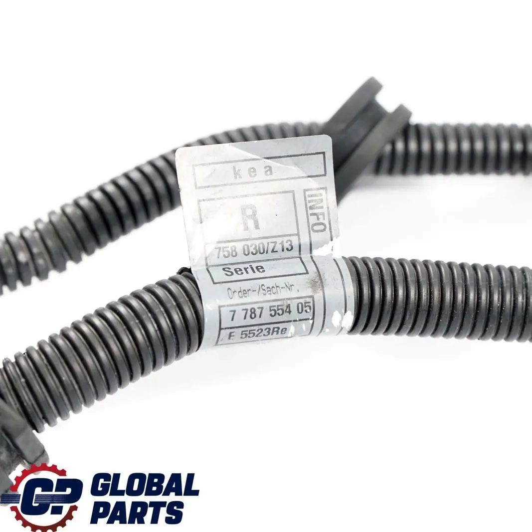 M47N 320d Kabelbaum Motor Motormodul Manual BMW 3 er E46 - SKU 7787557 - Teilenummer 7787557