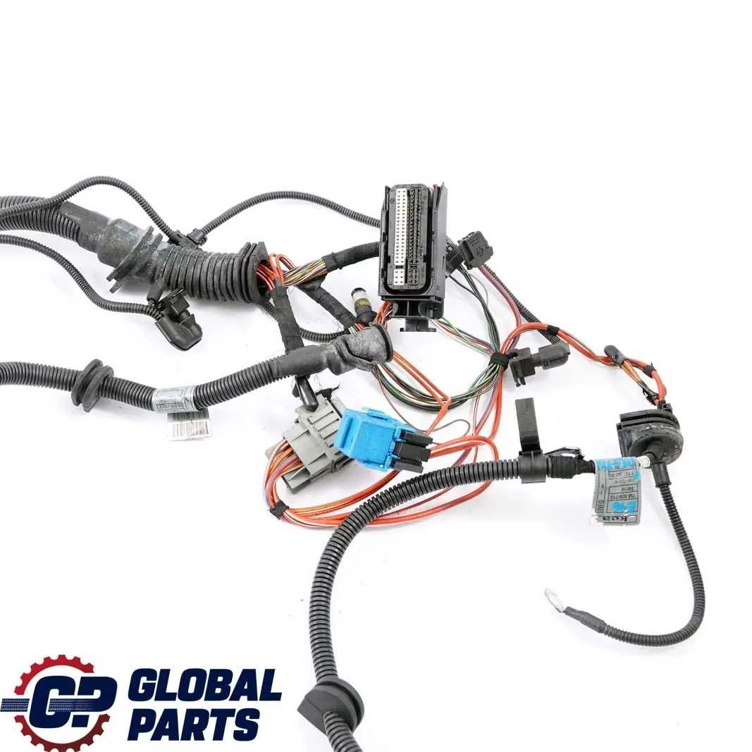 M47N 320d Kabelbaum Motor Motormodul Manual BMW 3 er E46 - SKU 7787557 - Teilenummer 7787557