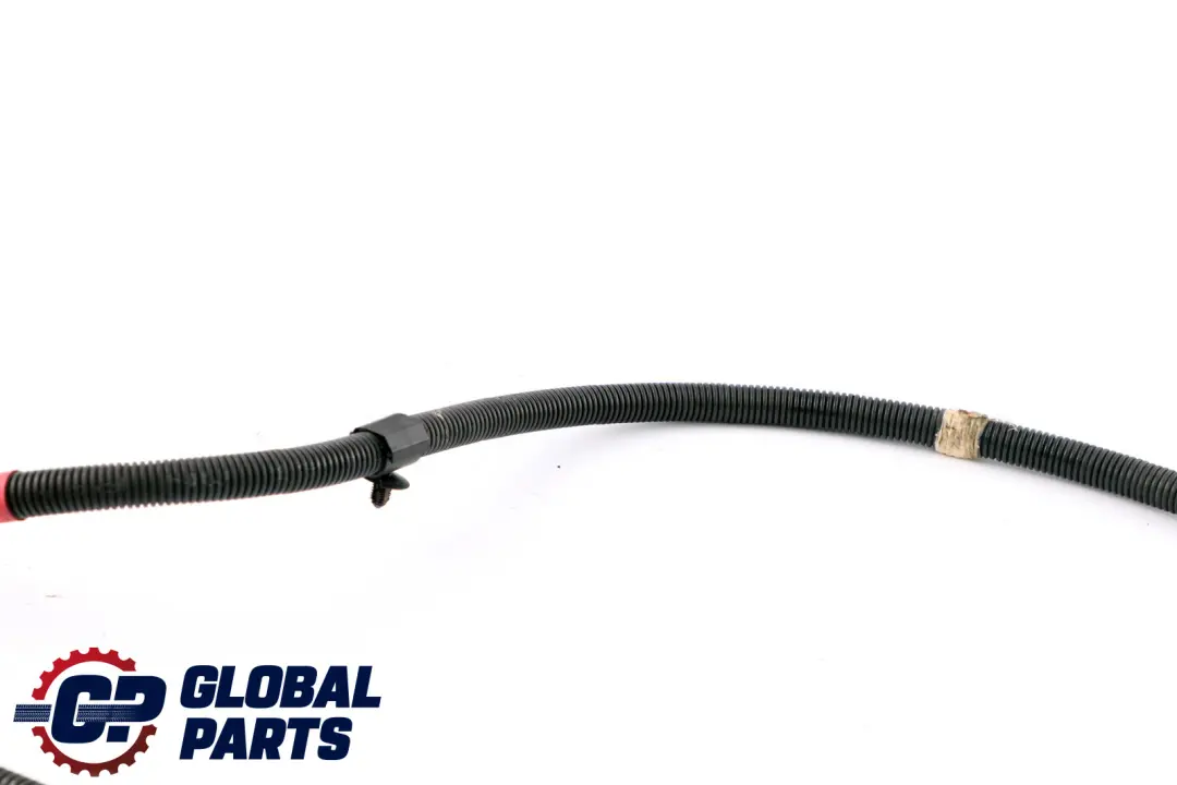 W17 Kabel Przewód Alternatora B+ do MINI One R50 o numerze 7790368 MINI One R50 W17 Kabel Przewód Alternatora B+ - SKU 7790368 - Numer Części 7790368