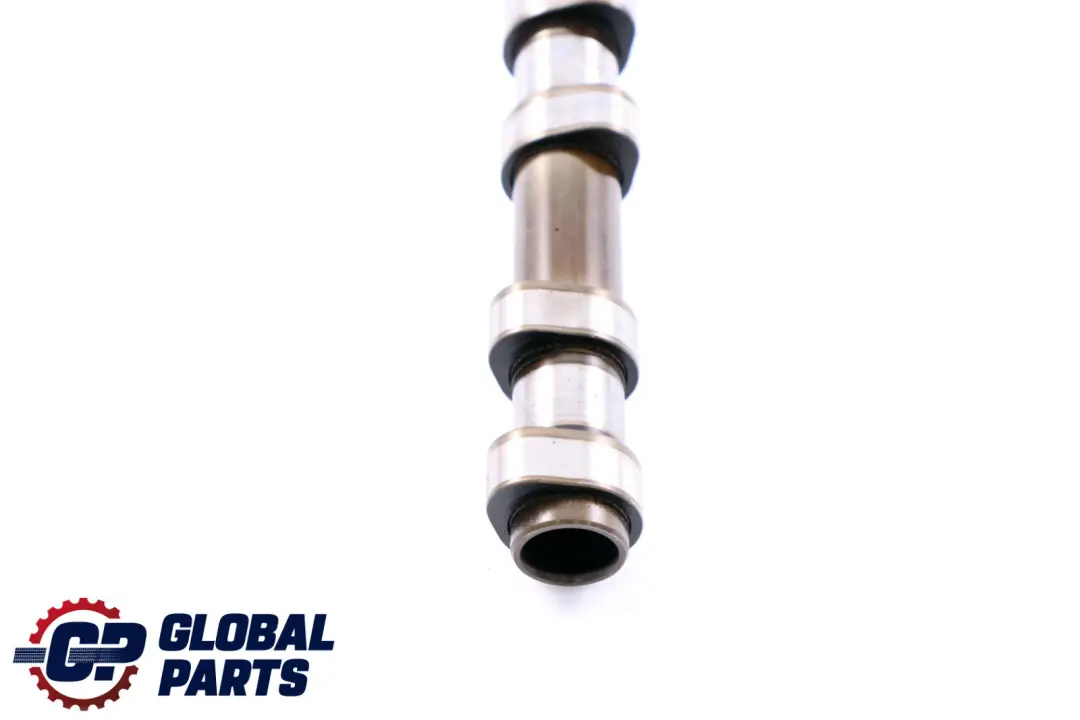 Motore Diesel M47N2 Albero a Camme di Scarico per BMW E60 X3 E83 E87 E90 E91 con numero di parte 7790596 BMW E60 X3 E83 E87 E90 E91 Motore Diesel M47N2 Albero a Camme di Scarico - SKU 7790596 - Numero di parte 7790596