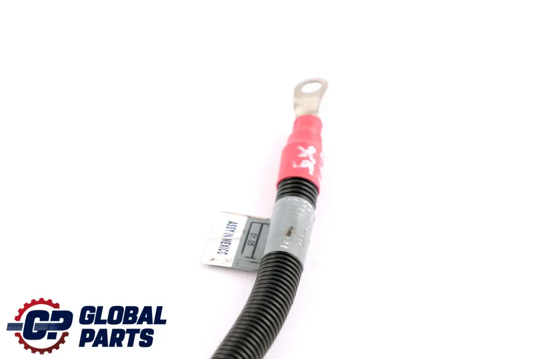 M57N Kabel Przewod Rozrusznika B do BMW X5 E53 3.0d o numerze 7791352 BMW X5 E53 3.0d M57N Kabel Przewod Rozrusznika B - SKU 7791352 - Numer Części 7791352