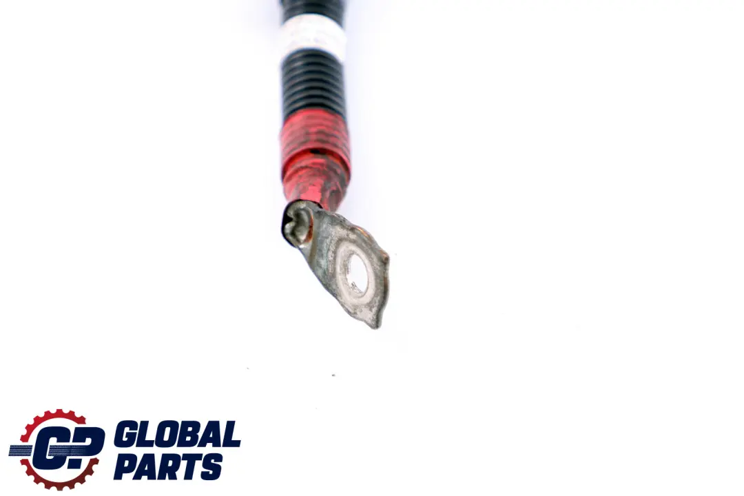 Kable Starter-Generator 779320 per BMW X5 X6 E70 E71 E90 E90N E91 E92 E93 con numero di parte 12427793200 BMW X5 X6 E70 E71 E90 E90N E91 E92 E93 Kable Starter-Generator 779320 - SKU 7793200 - Numero di parte 12427793200