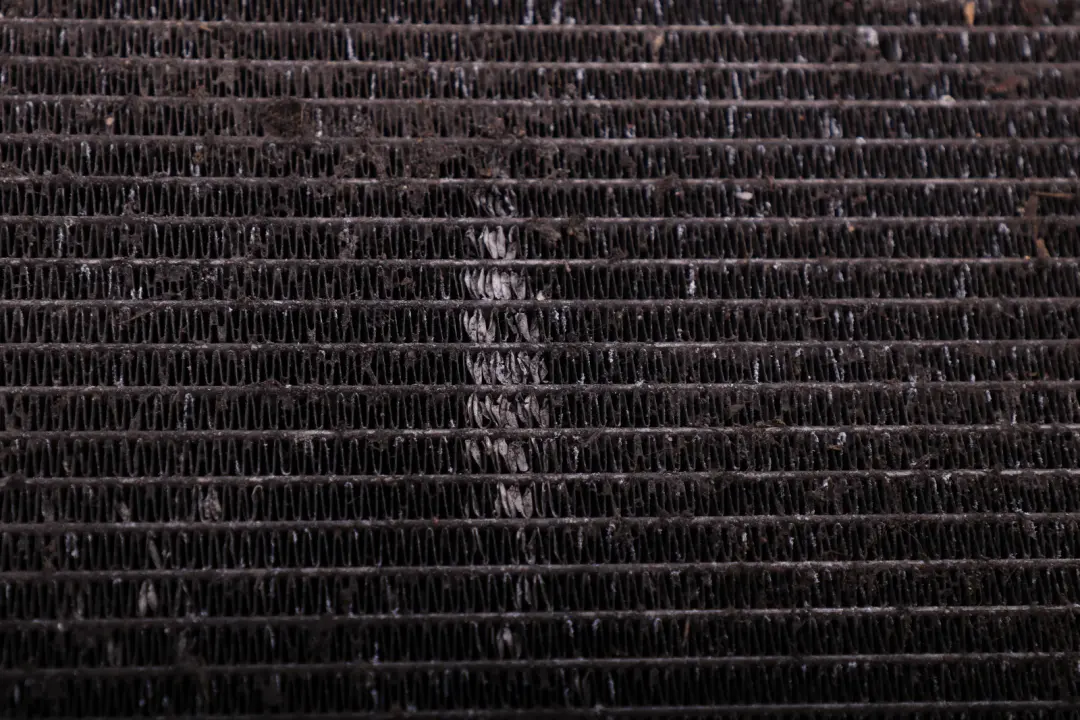 Radiatore Radiatore Acqua Refrigerante per BMW Serie 5 7 E60 E61 LCI E65 con numero di parte 7795138 BMW Serie 5 7 E60 E61 LCI E65 Radiatore Radiatore Acqua Refrigerante - SKU 7795138-1 - Numero di parte 7795138