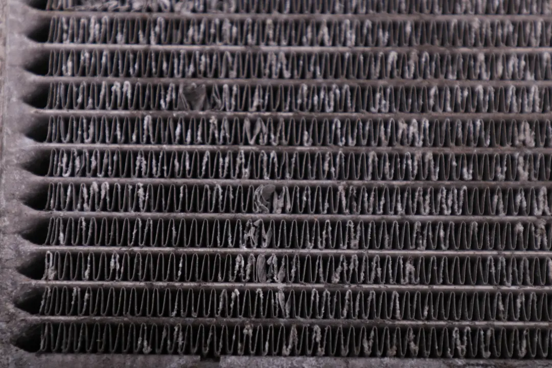 Enfriador Radiador Agua Refrigerante para BMW Serie 5 7 E60 E61 LCI E65 con número de pieza 7795138 BMW Serie 5 7 E60 E61 LCI E65 Enfriador Radiador Agua Refrigerante - SKU 7795138-1 - Número de pieza 7795138