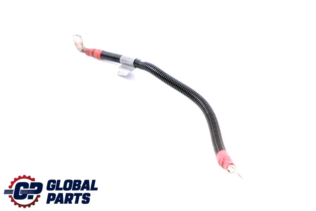 Cavo Batteria Avviamento-Base B+ per BMW X5 X6 E70 E71 Diesel con numero di parte 7796127 BMW X5 X6 E70 E71 Diesel Cavo Batteria Avviamento-Base B+ - SKU 7796127 - Numero di parte 7796127