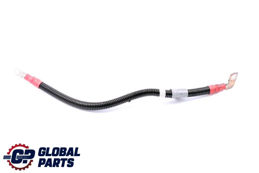 Cavo Batteria Avviamento-Base B+ per BMW X5 X6 E70 E71 Diesel con numero di parte 7796127 BMW X5 X6 E70 E71 Diesel Cavo Batteria Avviamento-Base B+ - SKU 7796127 - Numero di parte 7796127