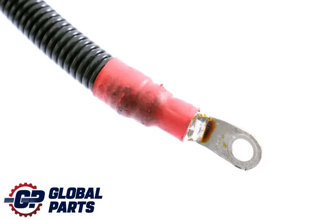 Cavo Batteria Avviamento-Base B+ per BMW X5 X6 E70 E71 Diesel con numero di parte 7796127 BMW X5 X6 E70 E71 Diesel Cavo Batteria Avviamento-Base B+ - SKU 7796127 - Numero di parte 7796127