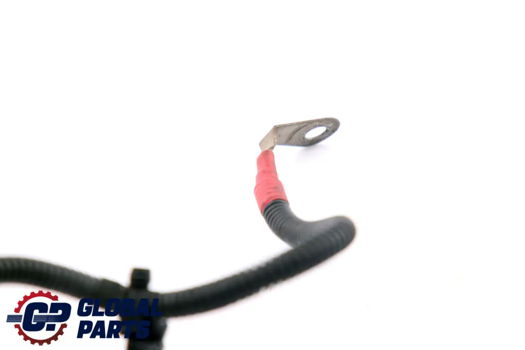 Lead Preheater BMW E70 LCI E90 E91 LCI F10 F11 N57 Wiring System Diesel - SKU 7800167 - Part number 7800167