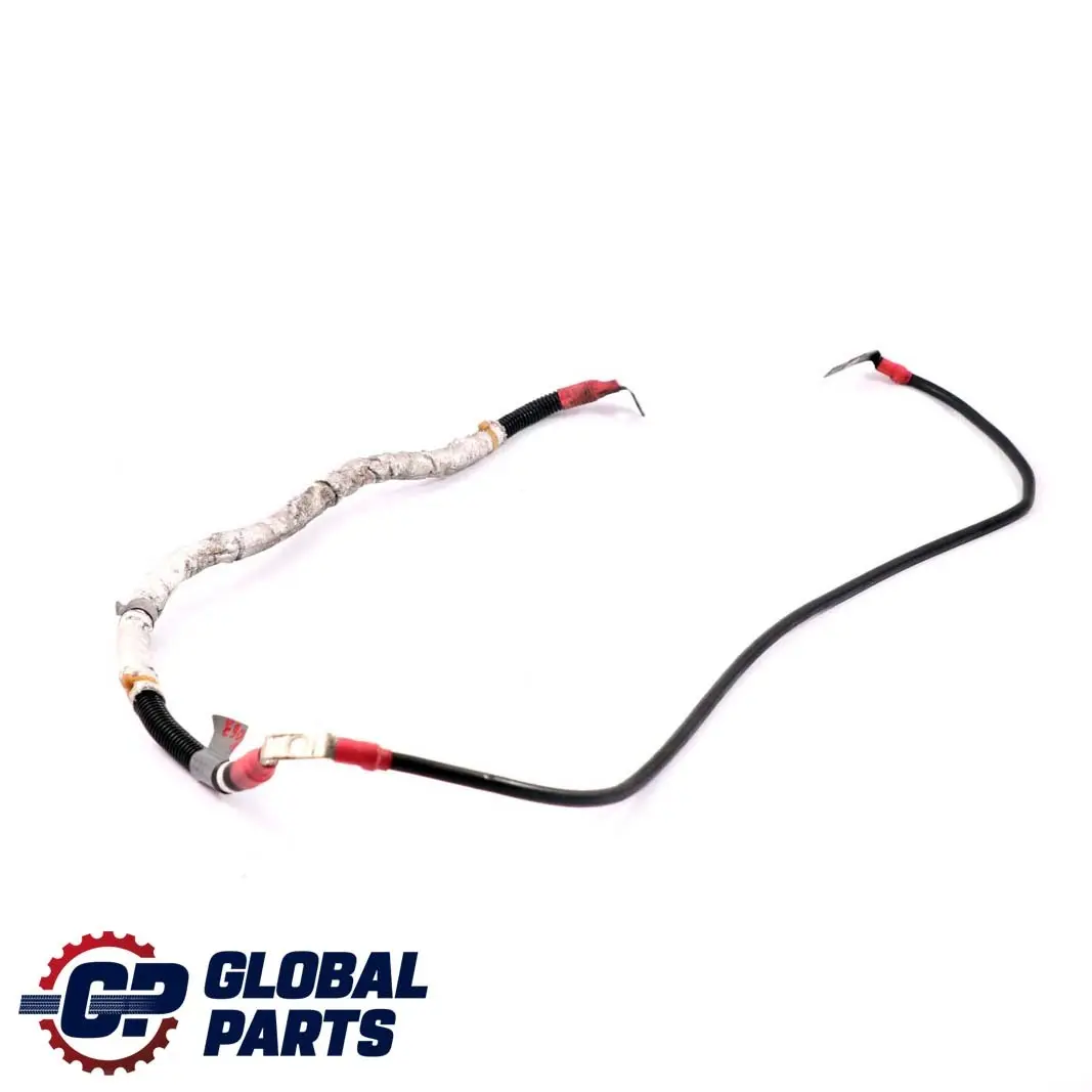 N47N Kabel alternatora do BMW E90 E91 E92 E93 o numerze 7810860 BMW E90 E91 E92 E93 N47N Kabel alternatora - SKU 7810860-1 - Numer Części 7810860