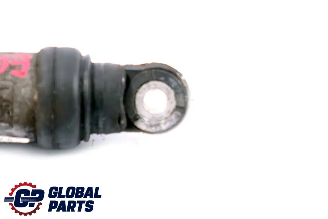 Riemenspanner BMW E60 E61N M5 E63 E64 M6 E90 E92 E93 M3 - SKU 7835422 - Teilenummer 11287835422