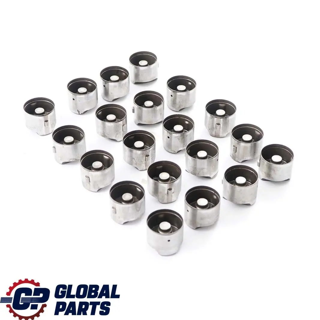 Hydraulic Valve Lifter Set to BMW 3 5 Series E60 M5 E90 E92 M3 with Part number 7839082 BMW 3 5 Series E60 M5 E90 E92 M3 Hydraulic Valve Lifter Set - SKU 7839082-1 - Part number 7839082