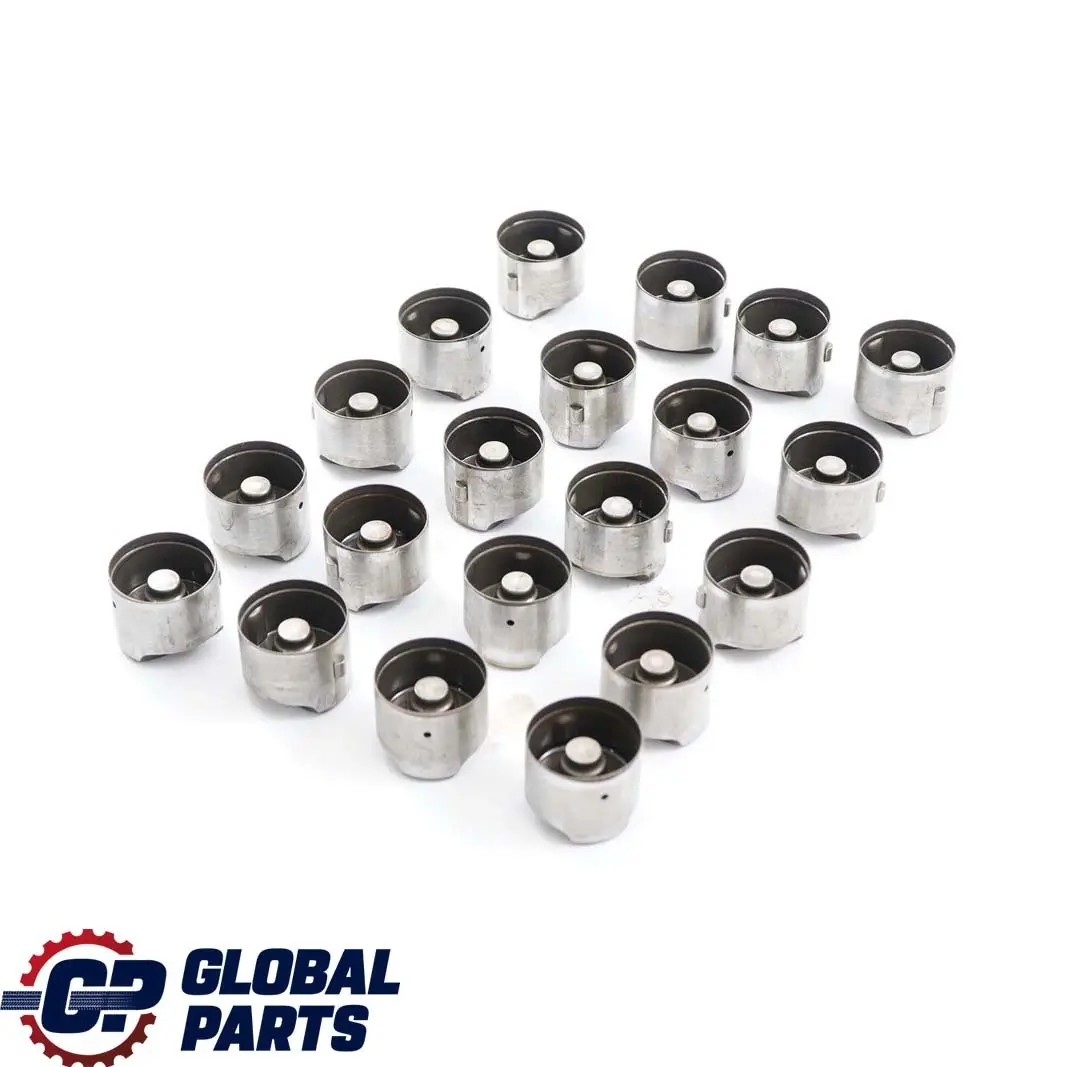 Hydraulic Valve Lifter Set to BMW 3 5 Series E60 M5 E90 E92 M3 with Part number 7839082 BMW 3 5 Series E60 M5 E90 E92 M3 Hydraulic Valve Lifter Set - SKU 7839082-1 - Part number 7839082