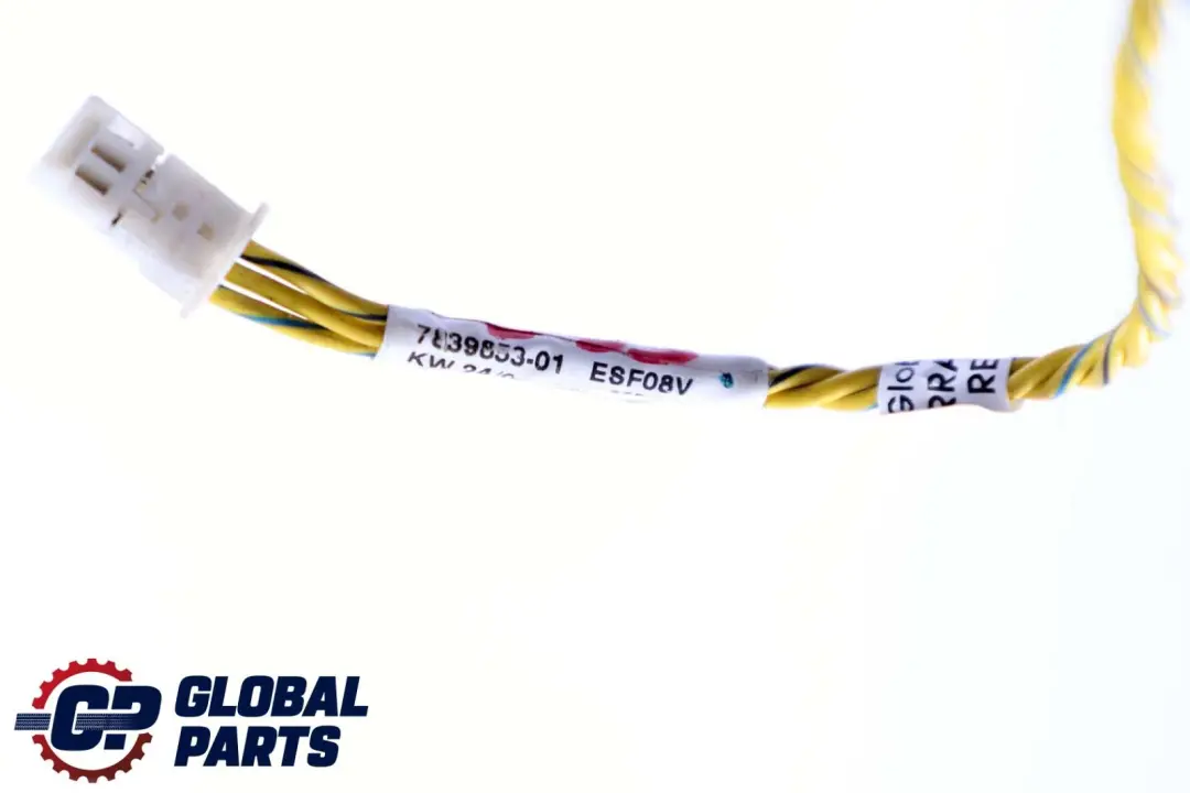 Cavo Collegamento Linea Porta Anteriore per BMW Serie 3 E92 E93 con numero di parte 7839853 BMW Serie 3 E92 E93 Cavo Collegamento Linea Porta Anteriore - SKU 7839853 - Numero di parte 7839853
