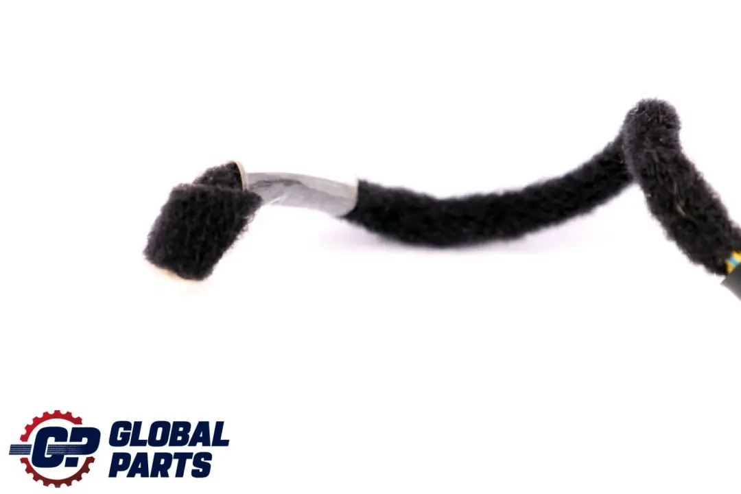 BMW X5 X6 er E70 E71 Hochtonlautsprecher Individual Audio - SKU 7842194 - Teilenummer 7842194