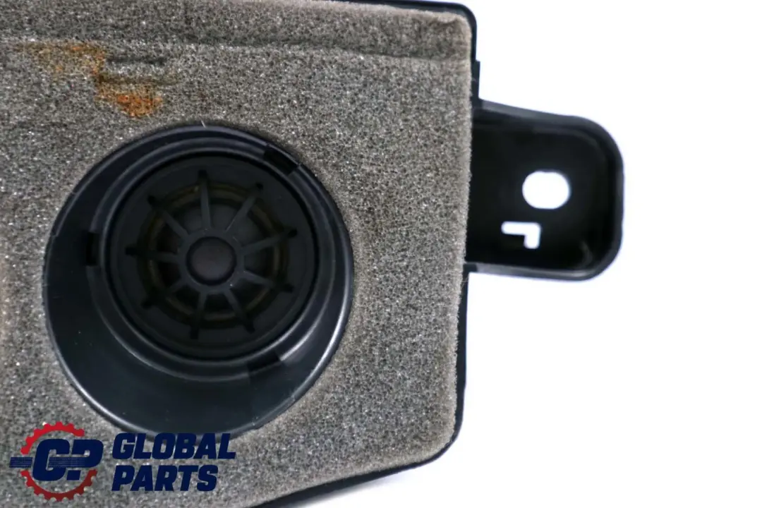BMW X6 er E71 Lautsprecherträger D-Säule Individual Audiosystem Links - SKU 7842199 - Teilenummer 7842199