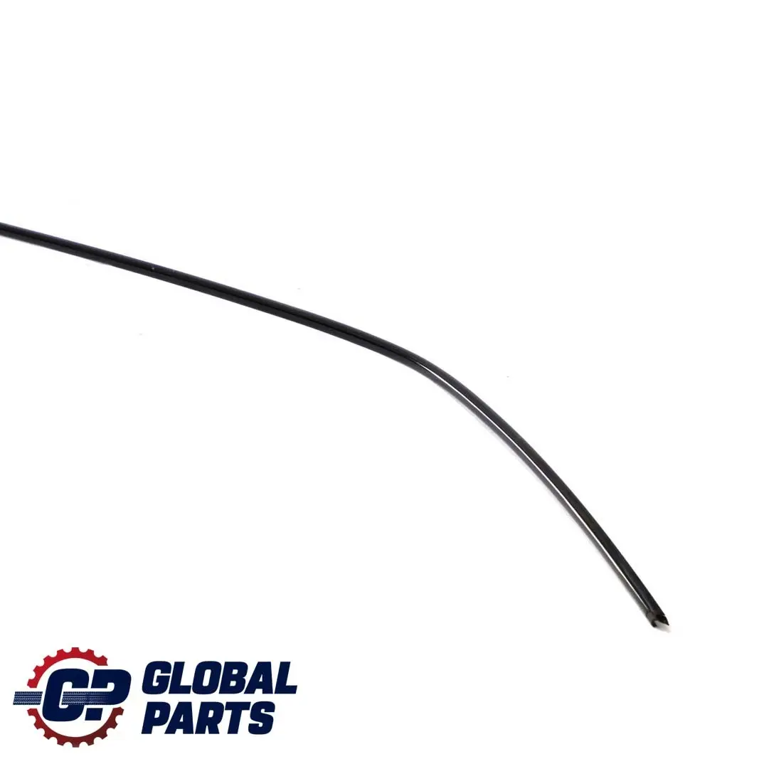 Moulage Regenrinne avant Droit Noir Brillant pour BMW E46 Touring à propos du numéro de pièce 7890666 BMW E46 Touring Moulage Regenrinne avant Droit Noir Brillant - SKU 7890666 - Numéro de pièce 7890666