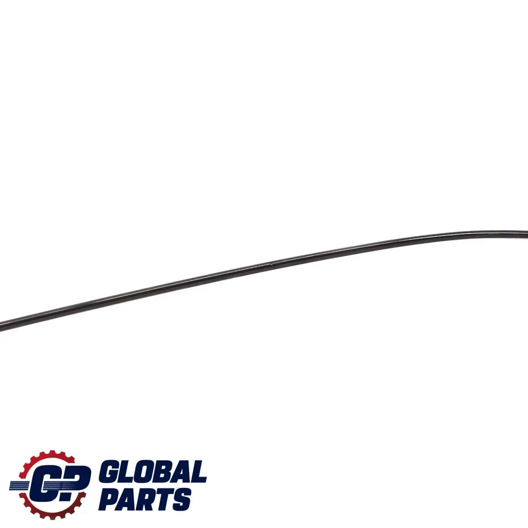 Moldura Delantera Derecha Techo Desagüe Tira Embellecedora para BMW 3 E46 Touring con número de pieza 7890666 BMW 3 E46 Touring Moldura Delantera Derecha Techo Desagüe Tira Embellecedora - SKU 7890666 - Número de pieza 7890666