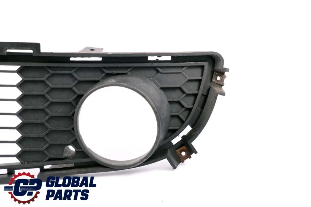 Gitter Seitlich Vorne Rechts für BMW 3 er E90 E91 LCI M Sport mit Teilenummer 7891396 BMW 3 er E90 E91 LCI M Sport Gitter Seitlich Vorne Rechts - SKU 7891396-1 - Teilenummer 7891396