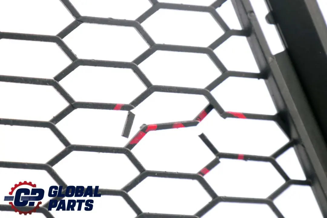 Gitter Seitlich Vorne Rechts für BMW 3 er E90 E91 LCI M Sport mit Teilenummer 7891396 BMW 3 er E90 E91 LCI M Sport Gitter Seitlich Vorne Rechts - SKU 7891396-1 - Teilenummer 7891396