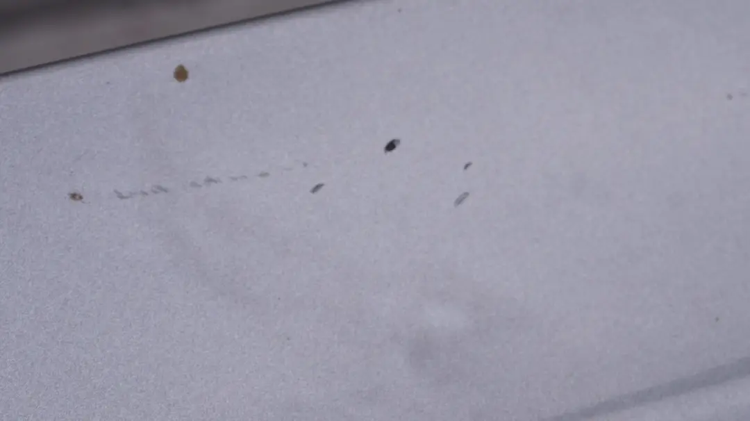 BMW 3 Series E46 Compact M Sport Rear Boot Tailgate Spoiler Silbergrau Grey - SKU 7894335-SBG - Part number 7894335