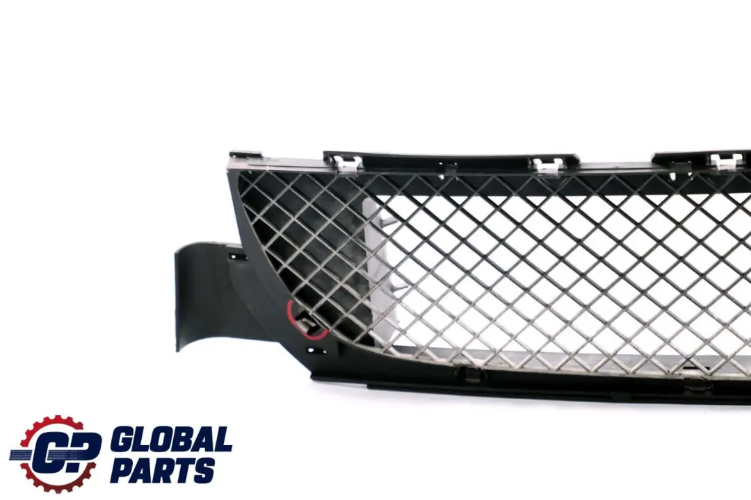 Grid Grille Centre Bumper Front Trim Panel to BMW 3 Series E46 M Sport with Part number 7896273 BMW 3 Series E46 M Sport Grid Grille Centre Bumper Front Trim Panel - SKU 7896273 - Part number 7896273