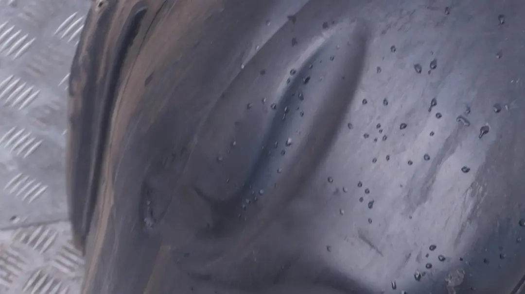 Front Right O/S Cover Wheel Arch Housing Trim to BMW 5 Series E60 E61N M5 with Part number 7896840 BMW 5 Series E60 E61N M5 Front Right O/S Cover Wheel Arch Housing Trim - SKU 7896840 - Part number 7896840