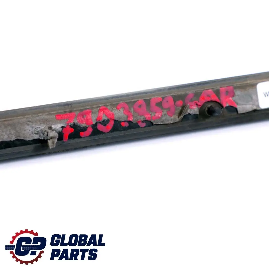 Left Door N/S Moulding Trim Strip Carbonschwarz Carbon Black BMW X5 E70 Rear - SKU 7903859-CAR - Part number 7903859