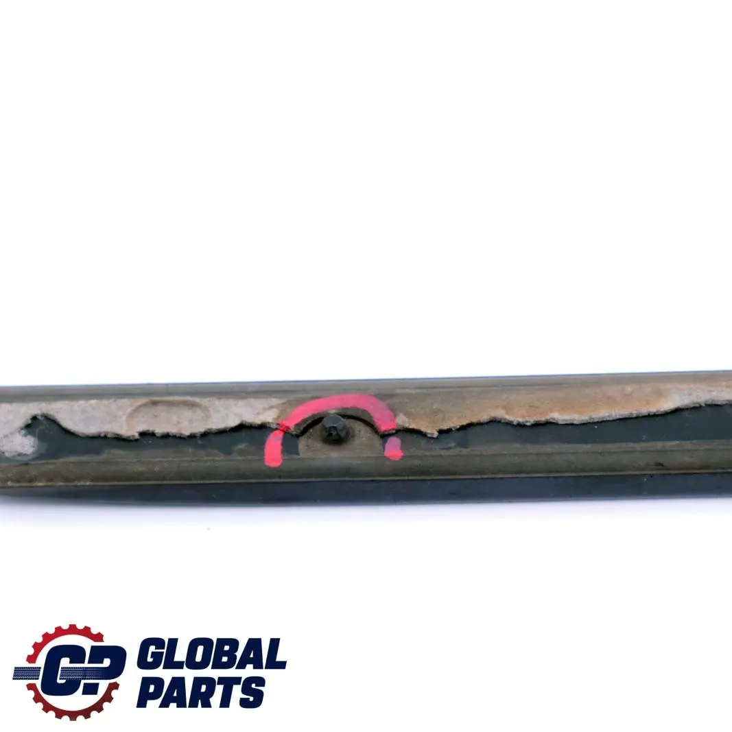 Left Door N/S Moulding Trim Strip Carbonschwarz Carbon Black BMW X5 E70 Rear - SKU 7903859-CAR - Part number 7903859