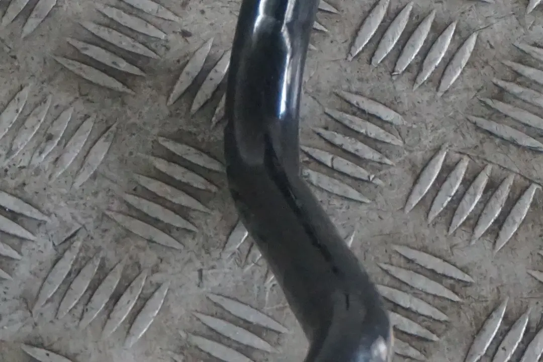 Stabilisateur Avant Barre Anti-Roll pour BMW F80 M3 LCI F82 F83 M4 à propos du numéro de pièce 8011850 BMW F80 M3 LCI F82 F83 M4 Stabilisateur Avant Barre Anti-Roll - SKU 8011850 - Numéro de pièce 8011850