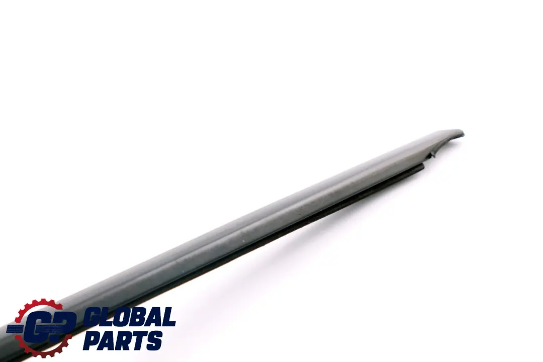 Plaque D'egout Exterieur Arriere Droite Porte Noir Brillant pour BMW 7 E65 à propos du numéro de pièce 8022208 BMW 7 E65 Plaque D'egout Exterieur Arriere Droite Porte Noir Brillant - SKU 8022208 - Numéro de pièce 8022208