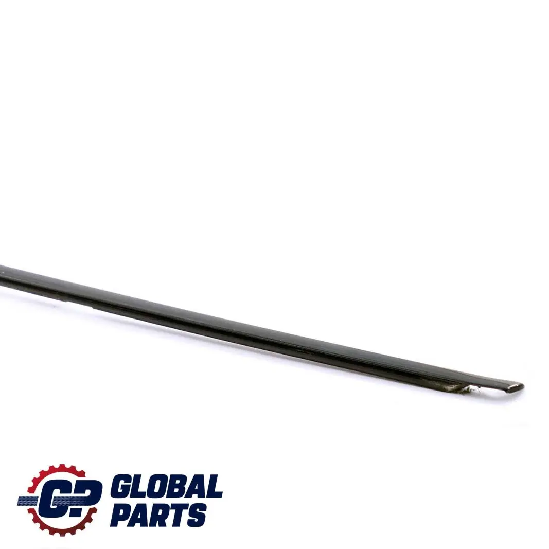BMW E66 E67 Rear Left Door N/S Outer Weatherstrip Glanzschwarz - SKU 8022209 - Part number 8022209