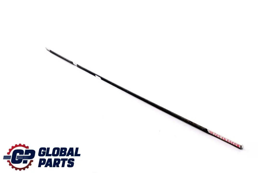 BMW X6 er E71 Schachtabdeckung Aussen Tür Hinten Links Alu Satiniert - SKU 8035597 - Teilenummer 8035597