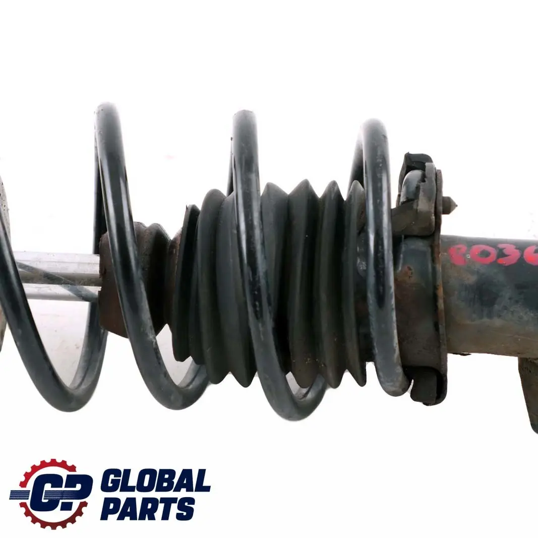 Reihe E87 M Sport Vorderachse Federbein Vorne Links für BMW 1 mit Teilenummer 8036005 BMW 1 Reihe E87 M Sport Vorderachse Federbein Vorne Links - SKU 8036005 - Teilenummer 8036005