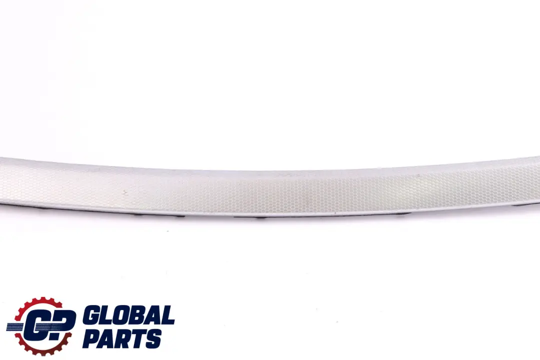 BMW E90 E91 Barra Decorativa Porta AlluMini o Ant. SX Ghiaccio Argento - SKU 8036079-2 - Numero di parte 8036079
