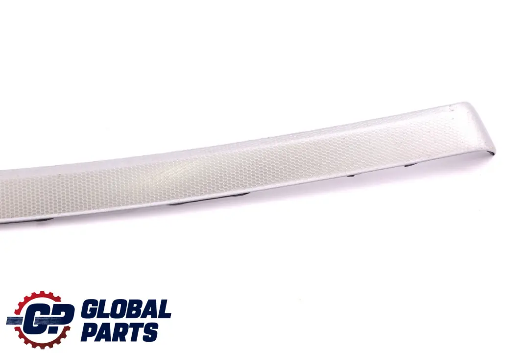 BMW E90 E91 Barra Decorativa Porta AlluMini o Ant. SX Ghiaccio Argento - SKU 8036079-2 - Numero di parte 8036079
