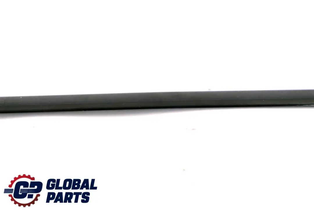 BMW 3 er E92 E92N Leiste Seitenscheibe Hinten Links Glanzschwarz - SKU 8036659 - Teilenummer 8036659