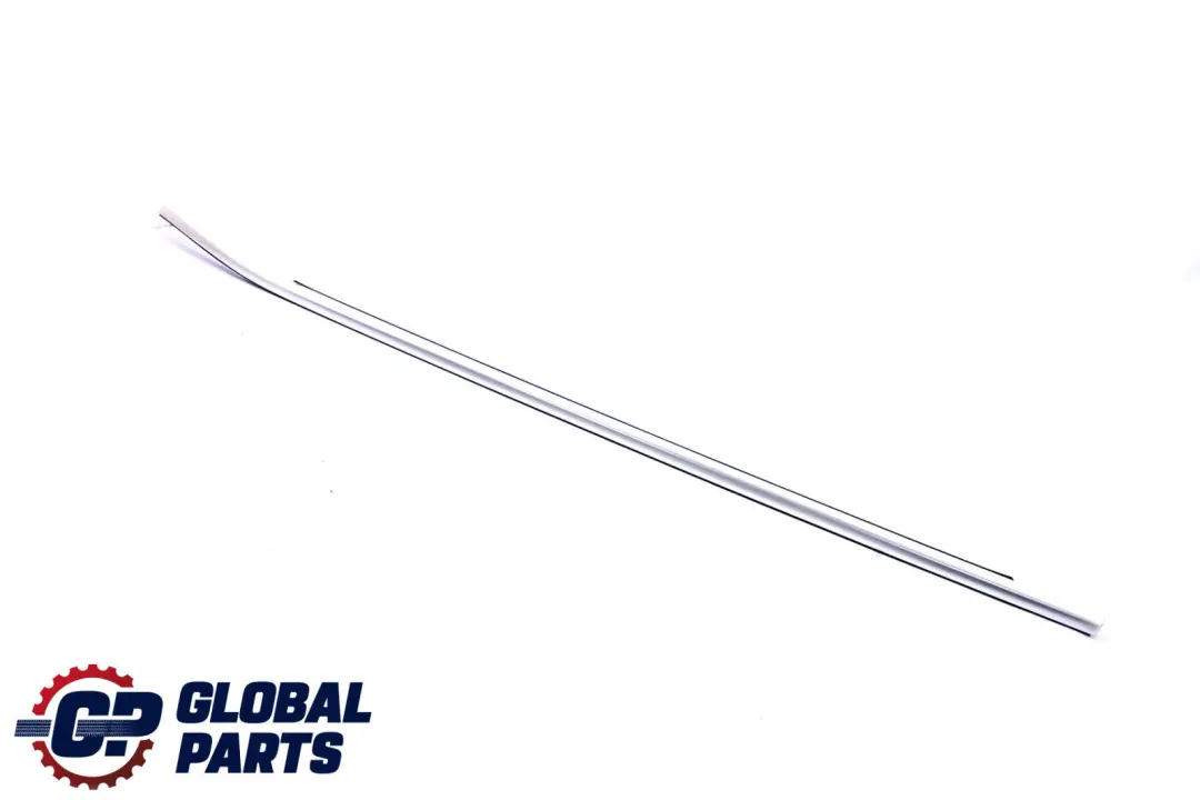 BMW X5 E70 Copertura Canale Porta Esterna Anteriore Sinistra N/S - SKU 8036781 - Numero di parte 8036781