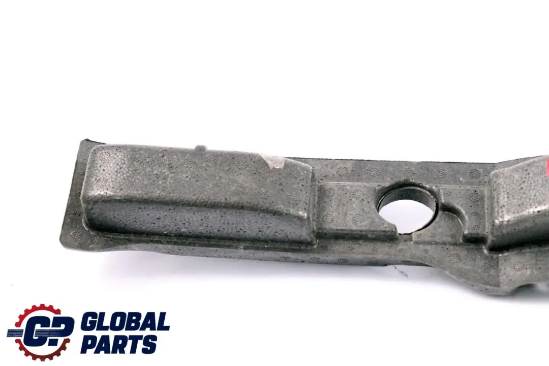 Stossabsorber Hinten Rechts für BMW 3 er E92 E93 LCI M3 mit Teilenummer 8040874 BMW 3 er E92 E93 LCI M3 Stossabsorber Hinten Rechts - SKU 8040874 - Teilenummer 8040874