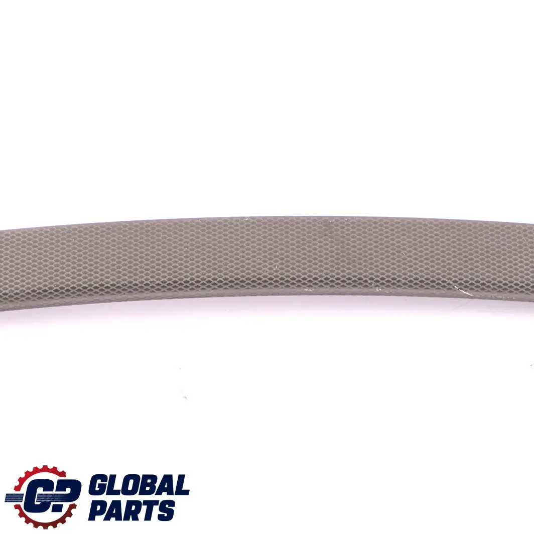 BMW E92 E93 Striscia decorativa Pannello copertura posteriore sinistro Argento - SKU 8049045 - Numero di parte 8049045