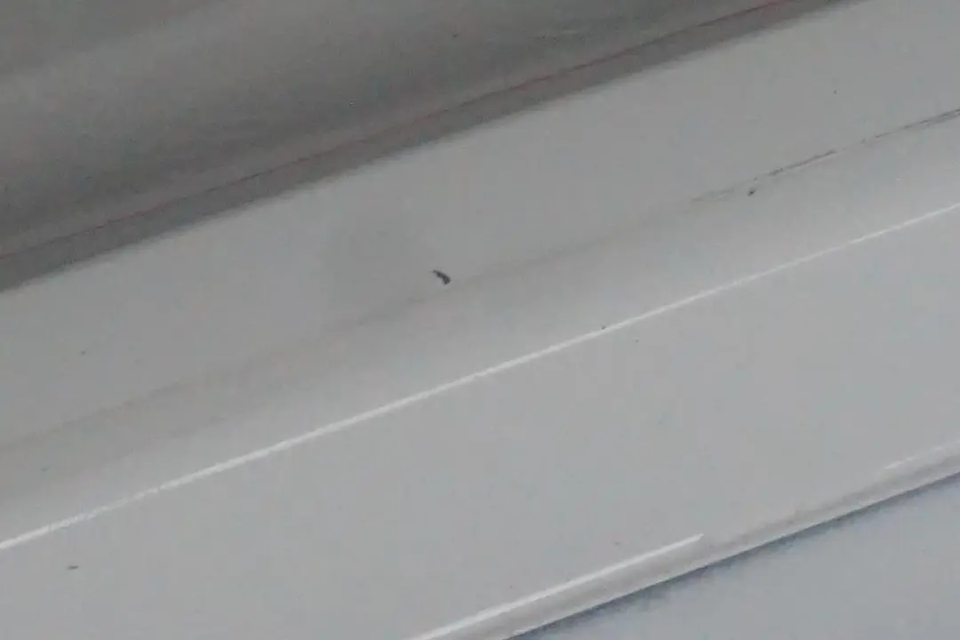 BMW F20 M Sport bande de recouvrement de seuil de porte droite blanc alpin - 300 - SKU 8056816-AW - Numéro de pièce 8056816