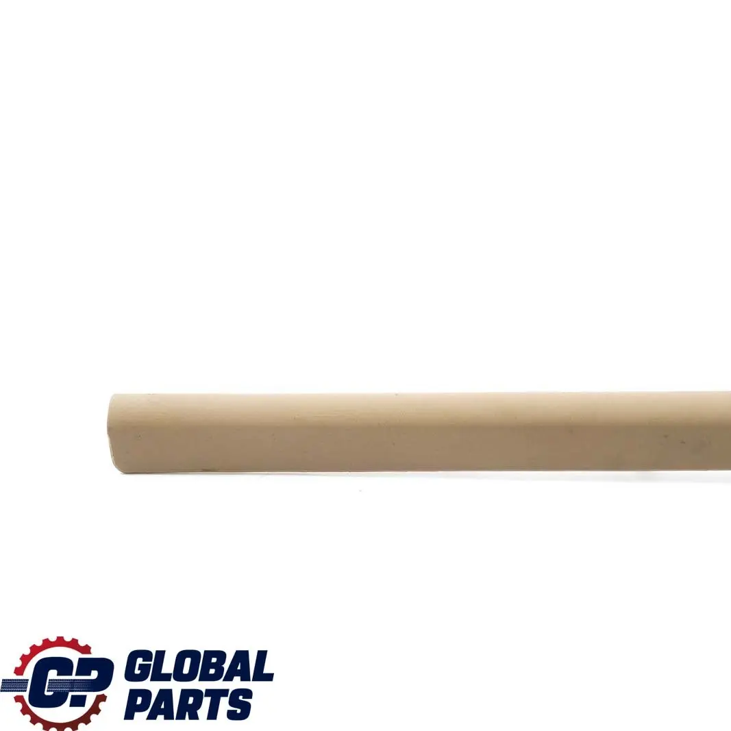 Apertura Guida Del Sedile Destra Beige Chiaro Beige per BMW X5 E53 con numero di parte 8099346 BMW X5 E53 Apertura Guida Del Sedile Destra Beige Chiaro Beige - SKU 8099346-2 - Numero di parte 8099346