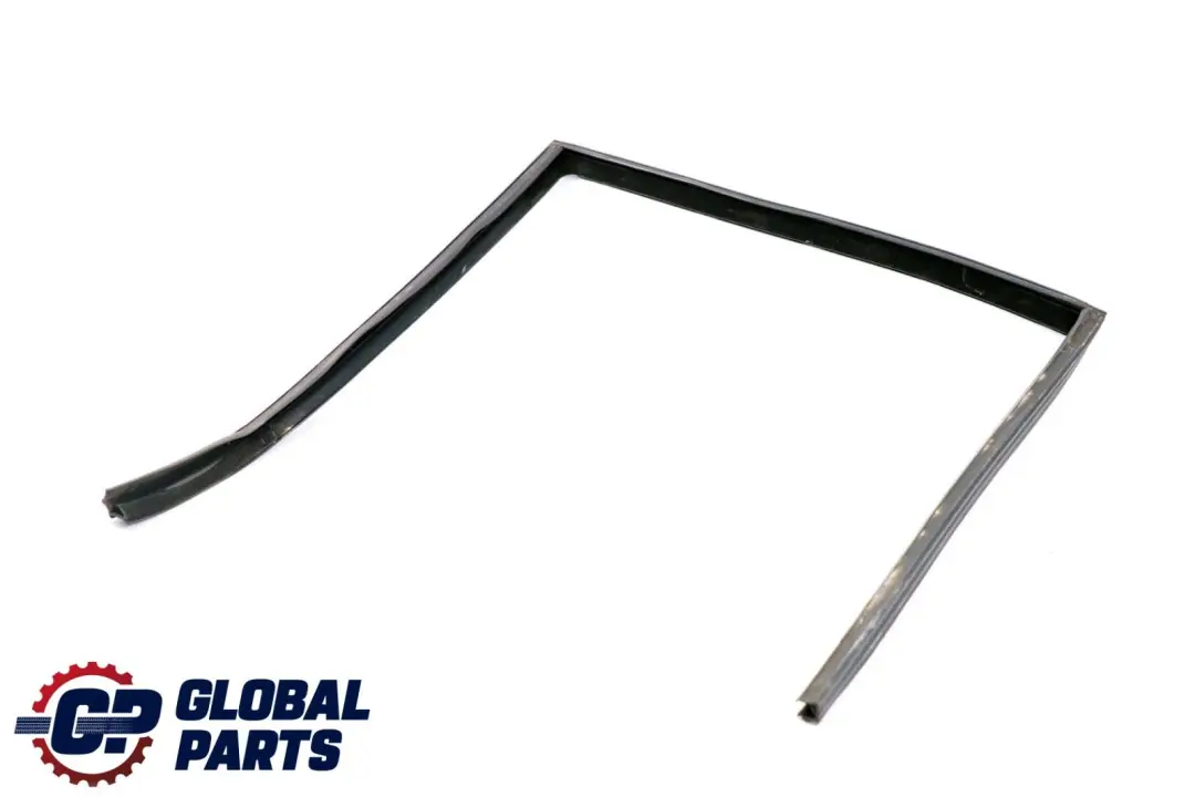 Fensterführung Tür Hinten Links für BMW 5 er E39 Limousine mit Teilenummer 8159817 BMW 5 er E39 Limousine Fensterführung Tür Hinten Links - SKU 8159817 - Teilenummer 8159817