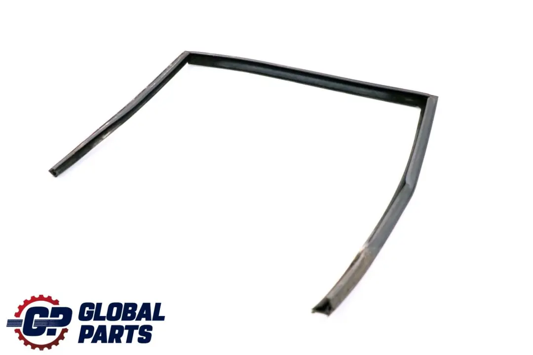 BMW 5 er E39 Fensterführung Tür Hinten Rechts - SKU 8159818 - Teilenummer 8159818