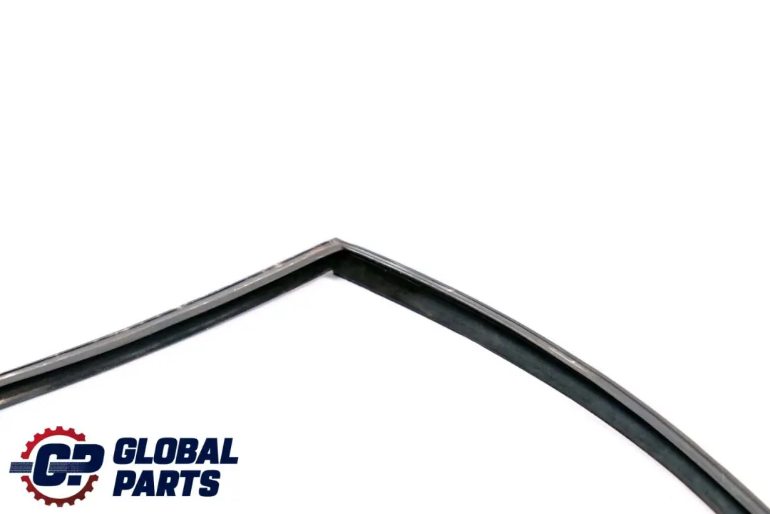 BMW 5 Series E39 Window Channel Guide Seal Rear Right Door O/S - SKU 8159818 - Part number 8159818