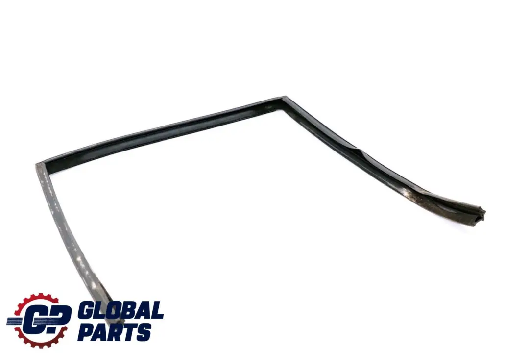 BMW 5 Series E39 Window Channel Guide Seal Rear Right Door O/S - SKU 8159818 - Part number 8159818